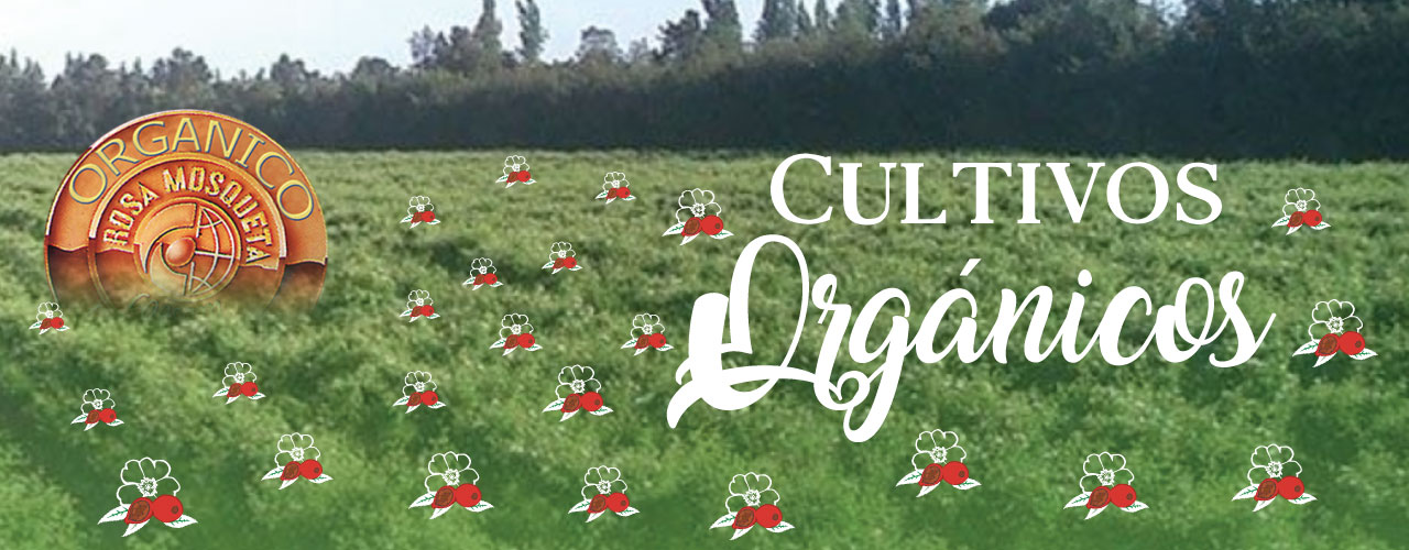 Cultivos Orgánicos