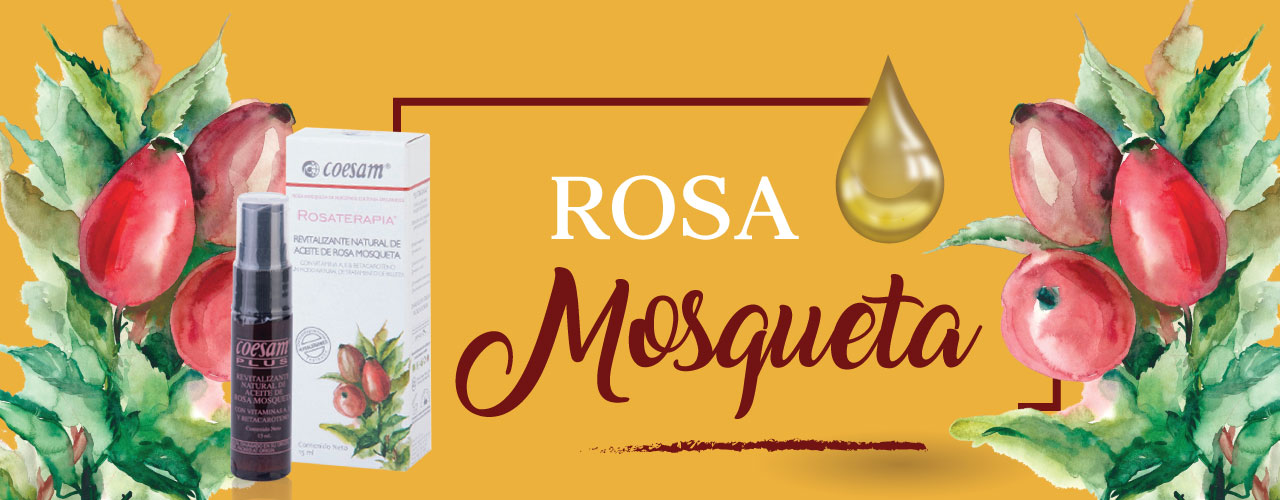 Rosa Mosqueta